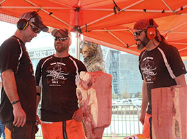Multi-Artist Chainsaw Carving Show