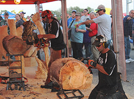 Chainsaw Carving Entertainment Two Carvers
