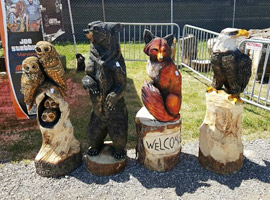 Owl, Bear and Fox Chainsaw Carving