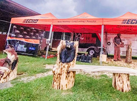Chainsaw Carving Demonstrations